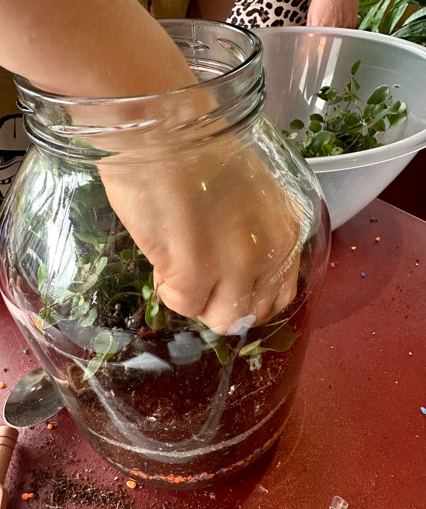 Kids Terrarium Workshop Admission Ticket - 1 Person -  30 October 2026