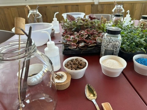 Kids Terrarium Workshop Admission Ticket - 1 Person -  21 Aug 2026