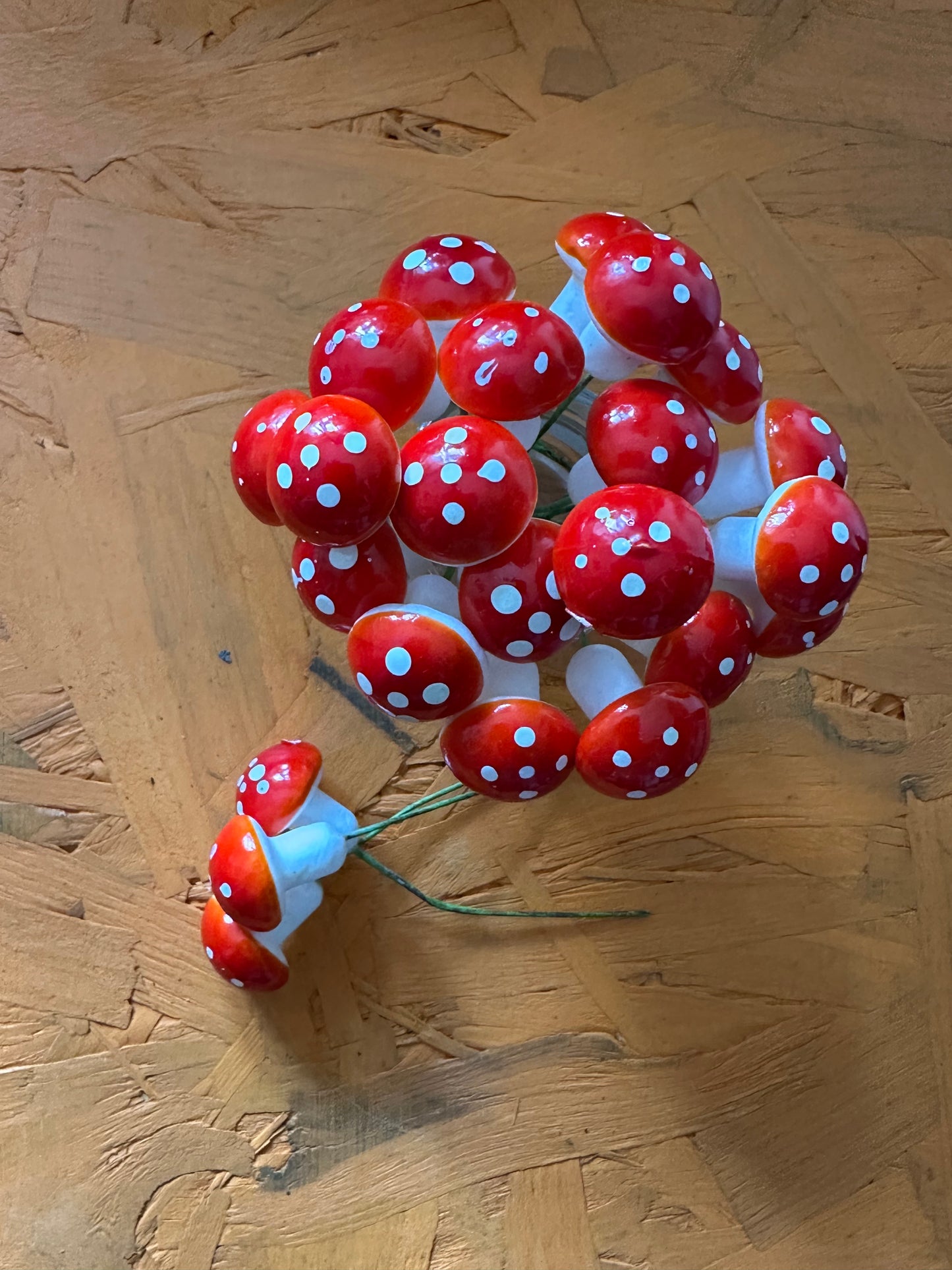 Kids Terrarium Workshop Admission Ticket - 1 Person -  21 Aug 2026