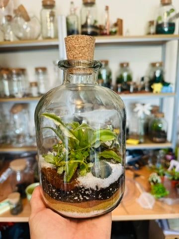 Kids Terrarium Workshop Admission Ticket - 1 Person -  21 Aug 2026
