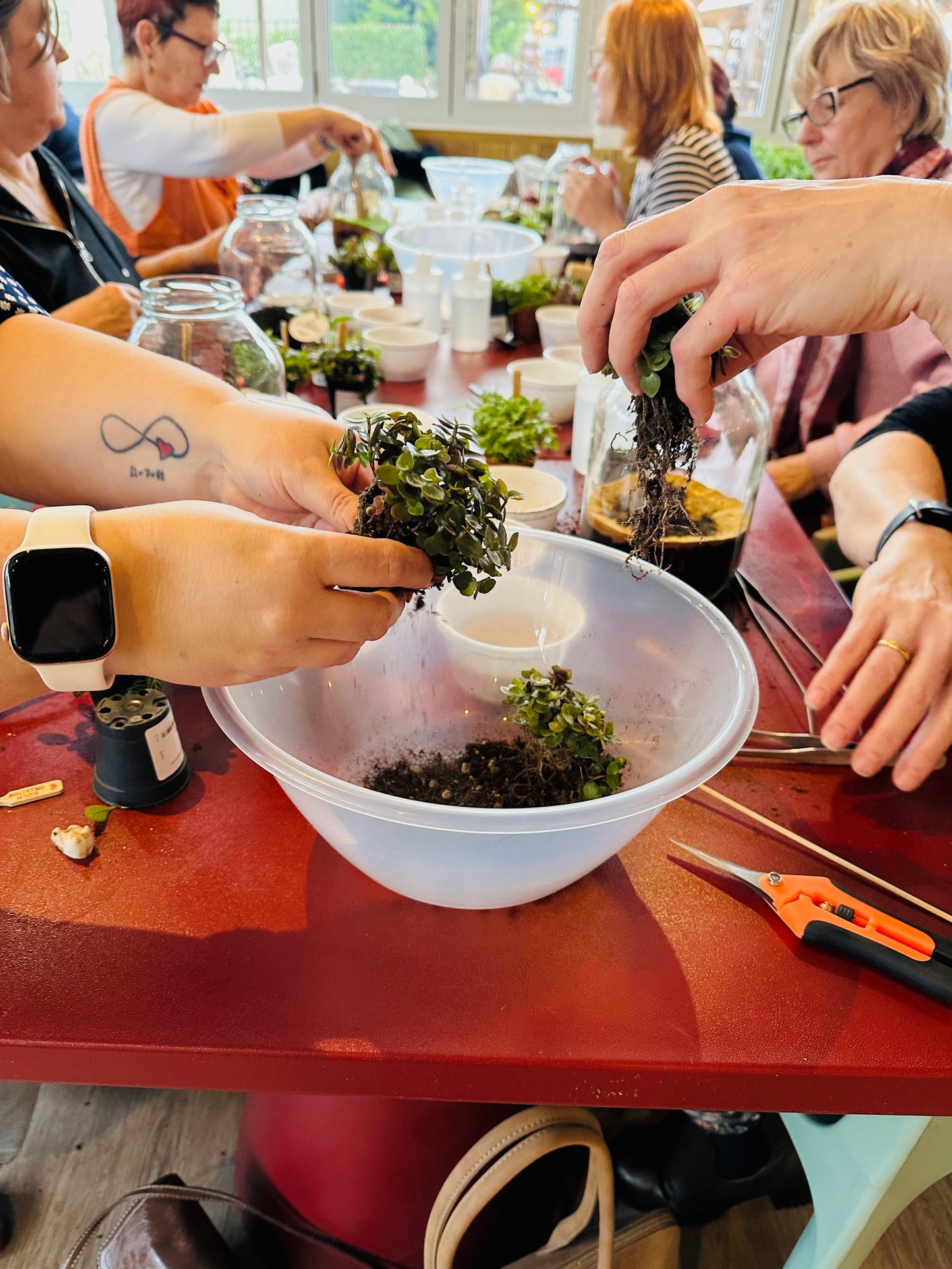 Terrarium Workshop Admission Ticket - 1 Person -  March 2026.