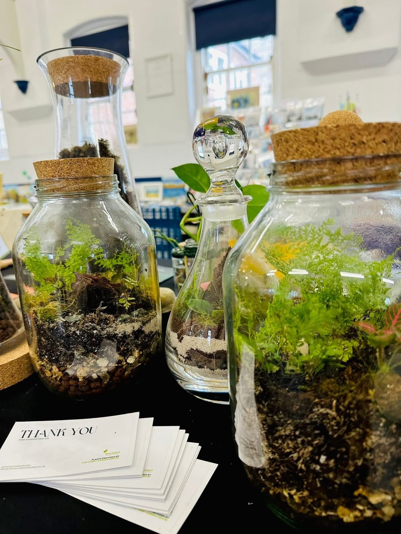 Terrarium Workshop Admission Ticket - 1 Person