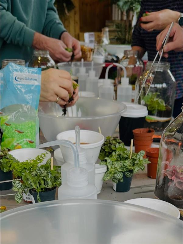 Terrarium Workshop Admission Ticket - 1 Person -  March 2026.