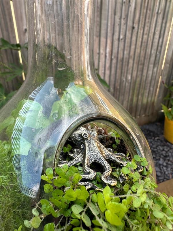 Terrarium Workshop Admission Ticket - 1 Person